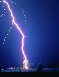 Lightning_hits_tree